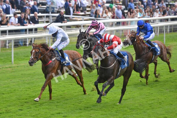 yr10072021r1-16 - Race 1: 1.45pm John Smith's Racing Stakes