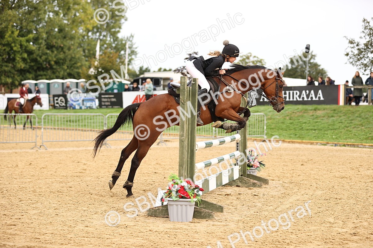 SBM_58399 - J41 - Grand Tour Horse & Pony 95cm