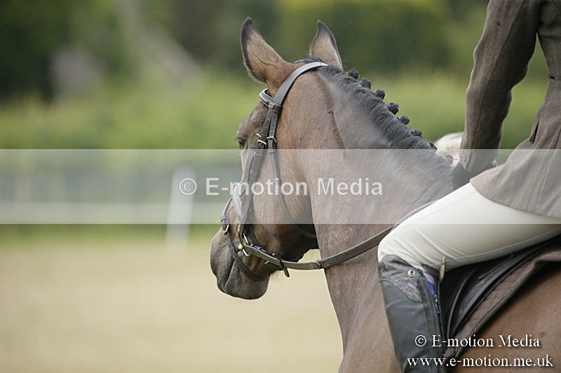 B230619-0022 - Bourne Valley Riding Club Summer Show 23/06/19