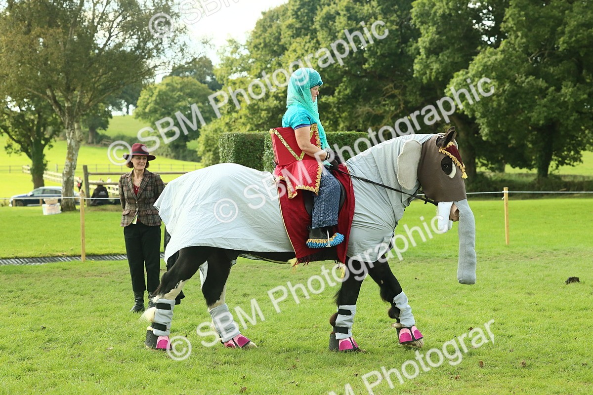 SBM_63503 - S35 - Fancy Dress Showing