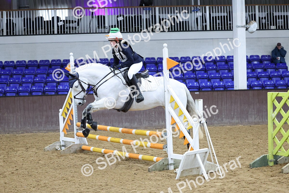 SBM_001068 - Class 3 - Christmas Tree Stakes - 60cm