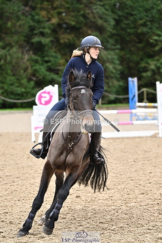 250201A-101437-00177 - Cls 01 Local Horse 90cm