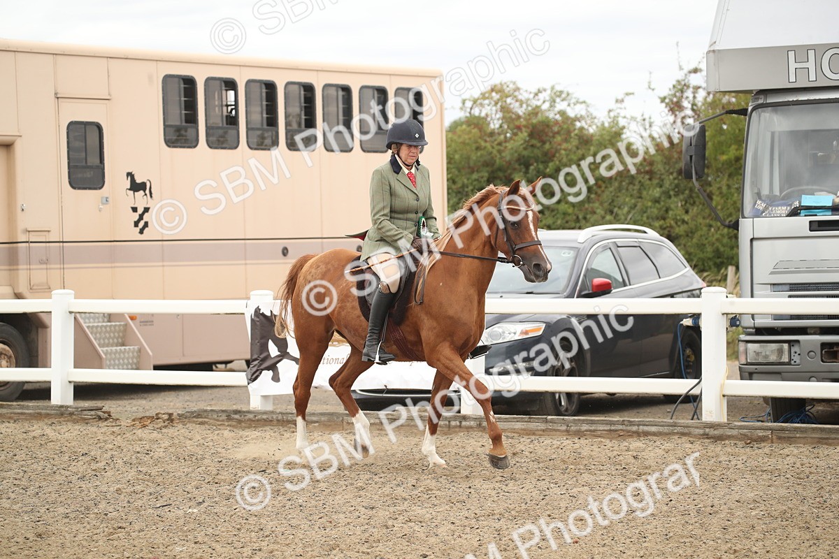 SBM_16853 - Class 507b - Working Veteran 60cm (20+)