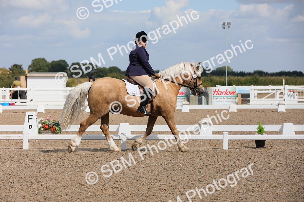 SBM_04039 - Class 31 Prelim 1