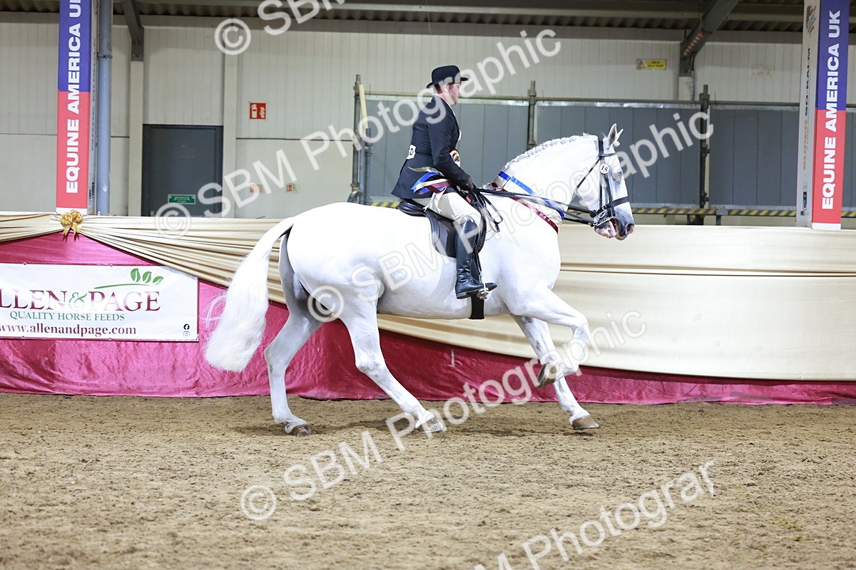 SBM_21172 - class Q - Ridden Horse Champ