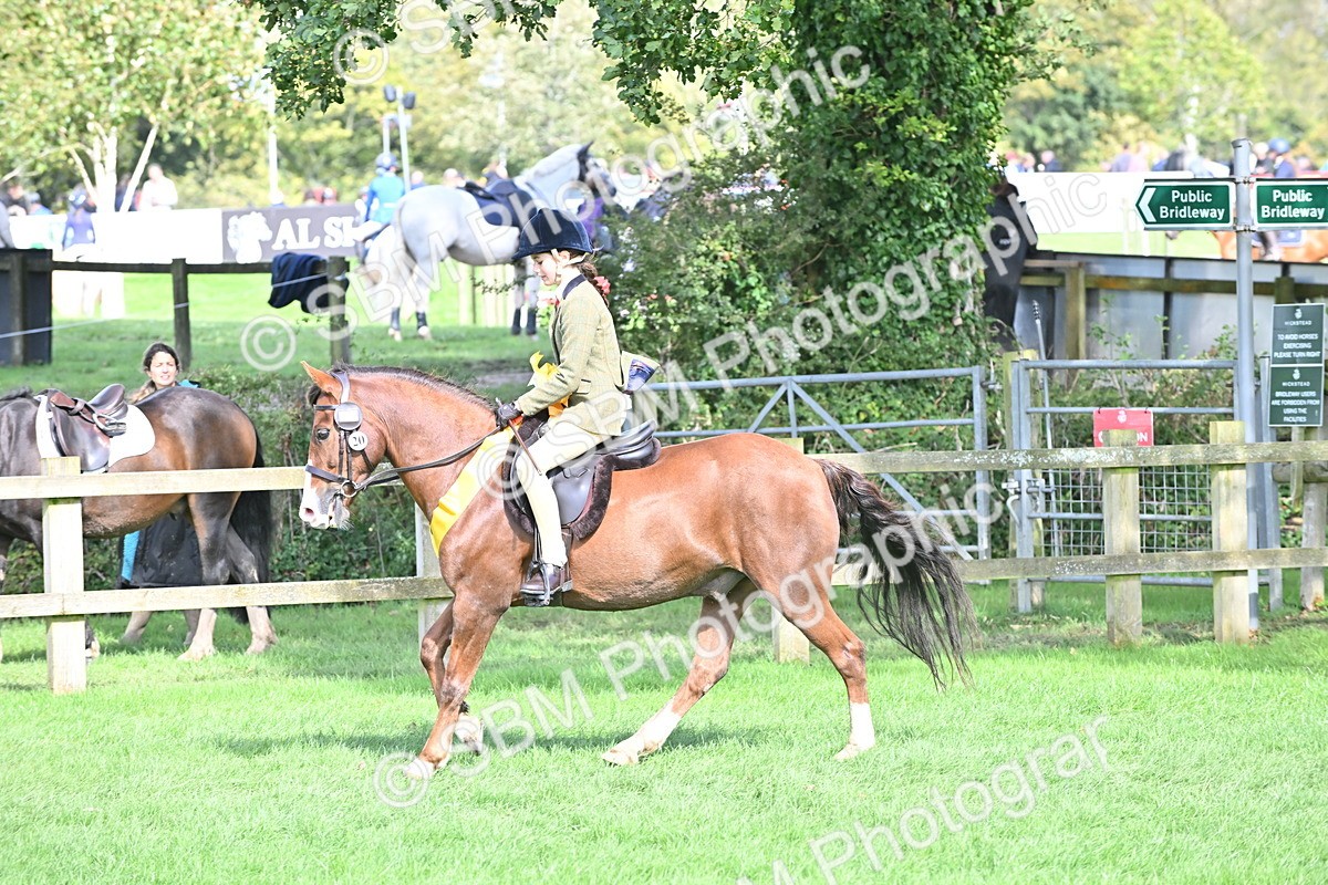 SBM_44606 - S13 - Pony Club Pony