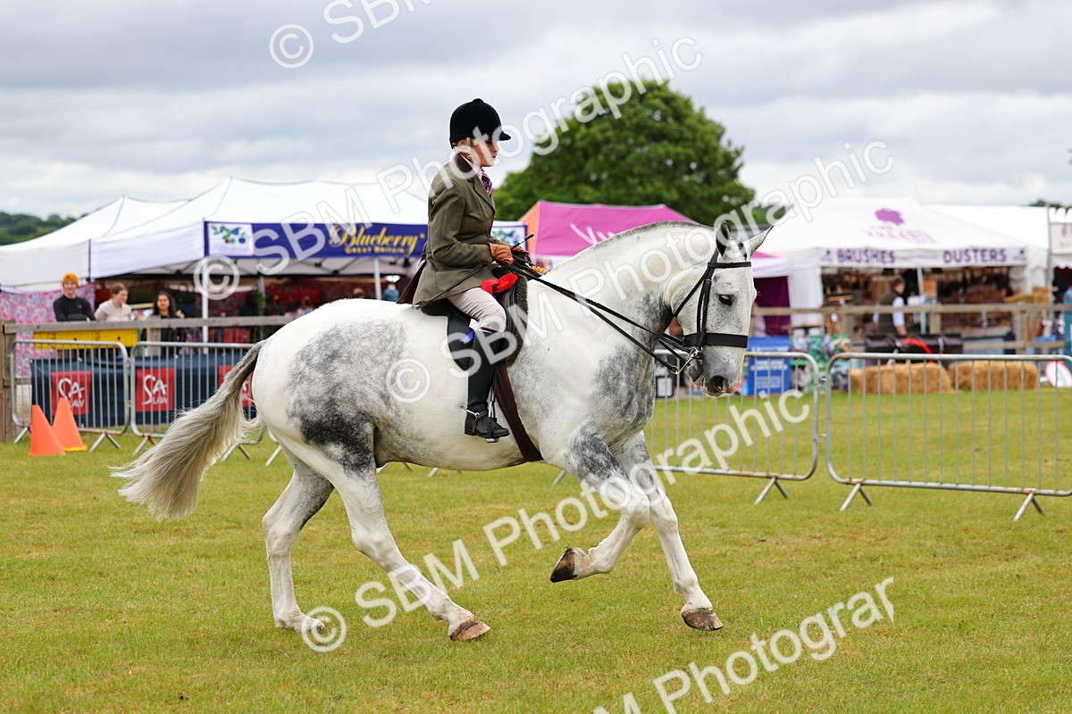 SBM_02671 - Class 9-11 Side Saddle including LIHS Rising Star Ladies Show Horse