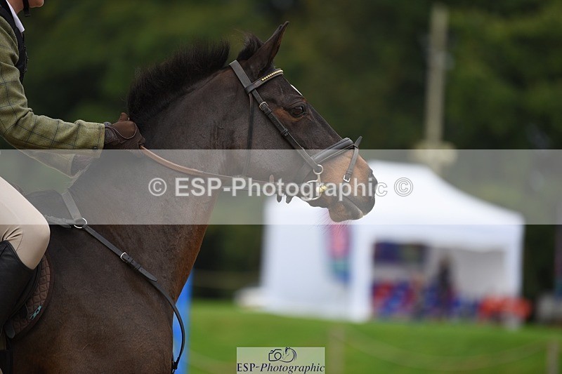 231001-122328-02372 - Cls 2 80cm 12.20 to End