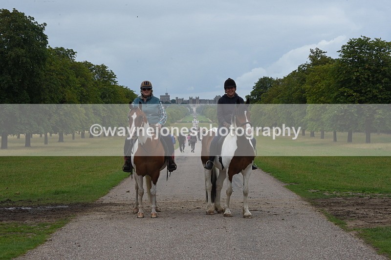 TT3_9572 - Time at Crossing 11:28 to 13:16