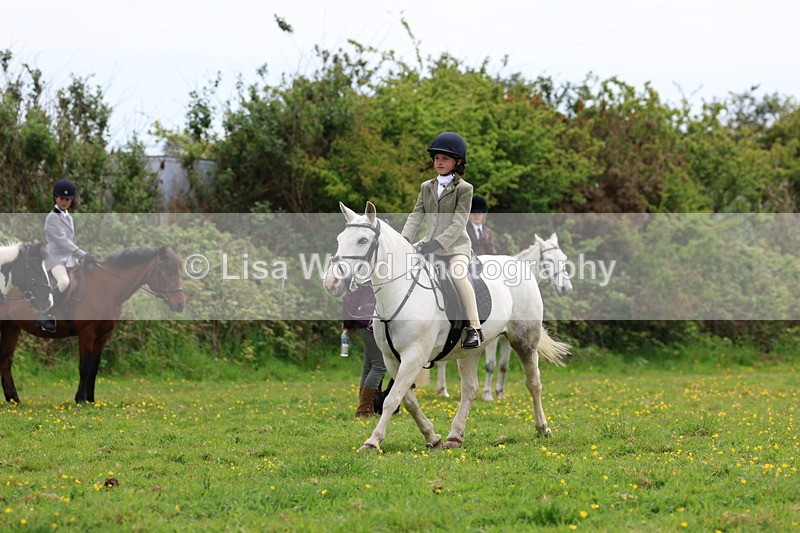 3E7A1552 - Class 8: Ridden Veteran Junoir and Senior