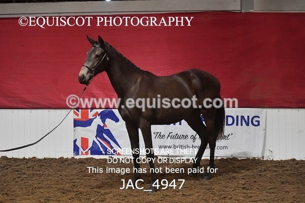 JAC_4947 - 4 River Dance, Take A Chance