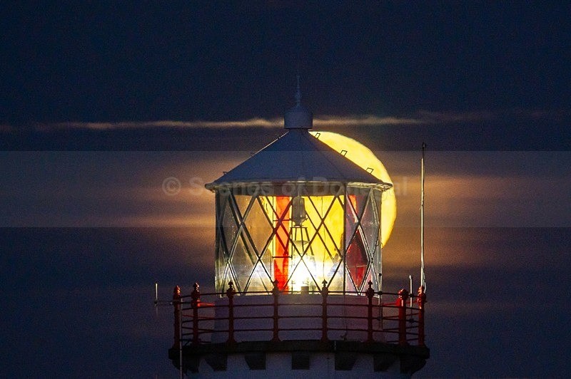 MF2_7040 - Fanad Lighthouse