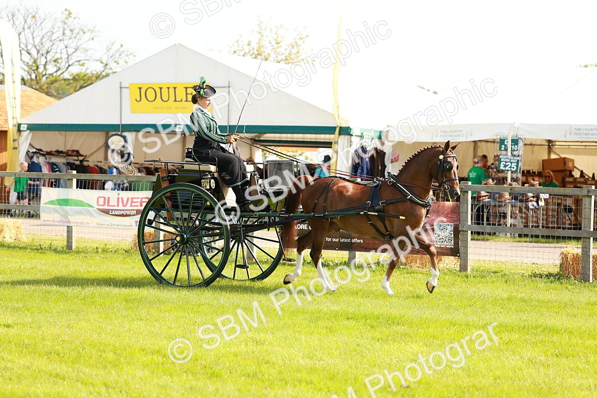 SBM_01144 - Class 2-4 - HOYS Private Driving