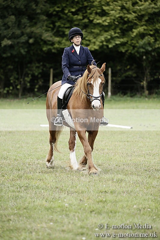 BVR080918 40 - BVRC Novice Dressage & CR 08/09/18