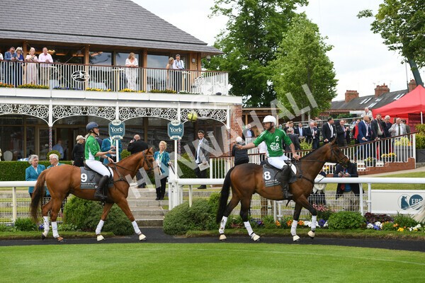 yr22052022r8e-5 - ROR - Parade Ring York
