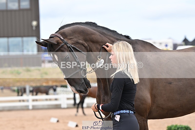 250716-160028-02336 - Trot Up 3.30 to 4.30