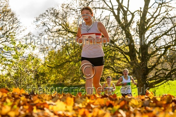 NatRel25-913523 - Young Female Set Two