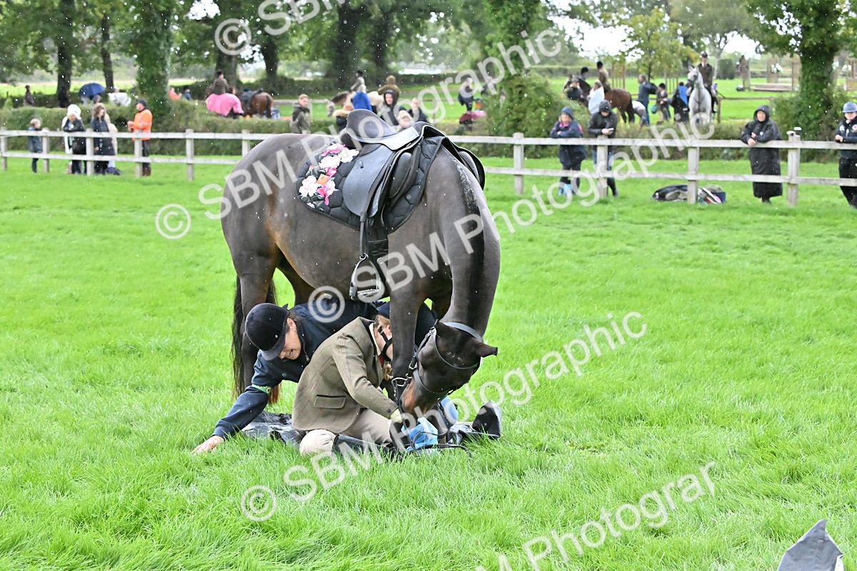SBM_42935 - S12 - Family Horse & Pony