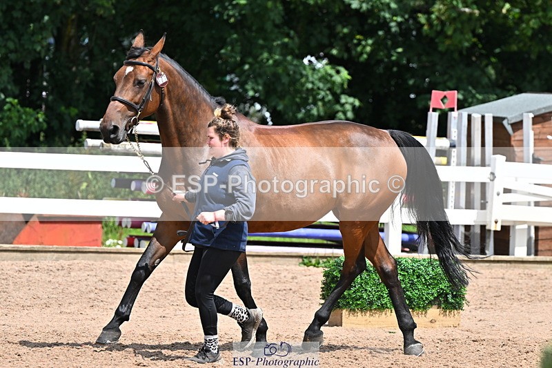 240718A-105306-01564 - Trot Up 1pm to 2pm