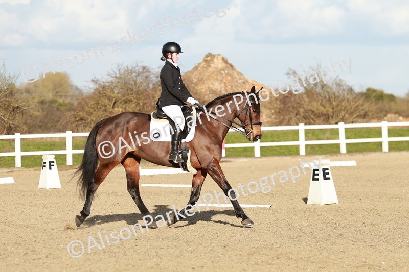 20260314-6248 - CT7 - Elementary 2