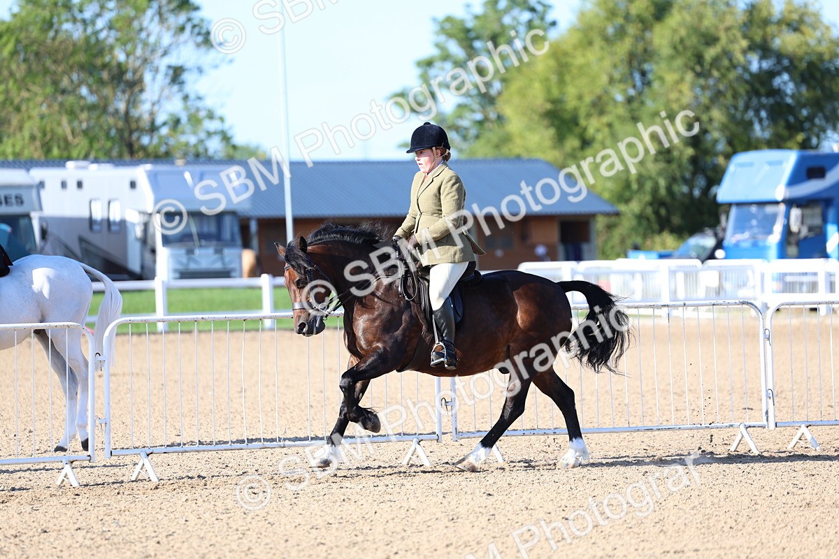 SBM_08791 - Class 302 - Ridden M&M - Large Breeds