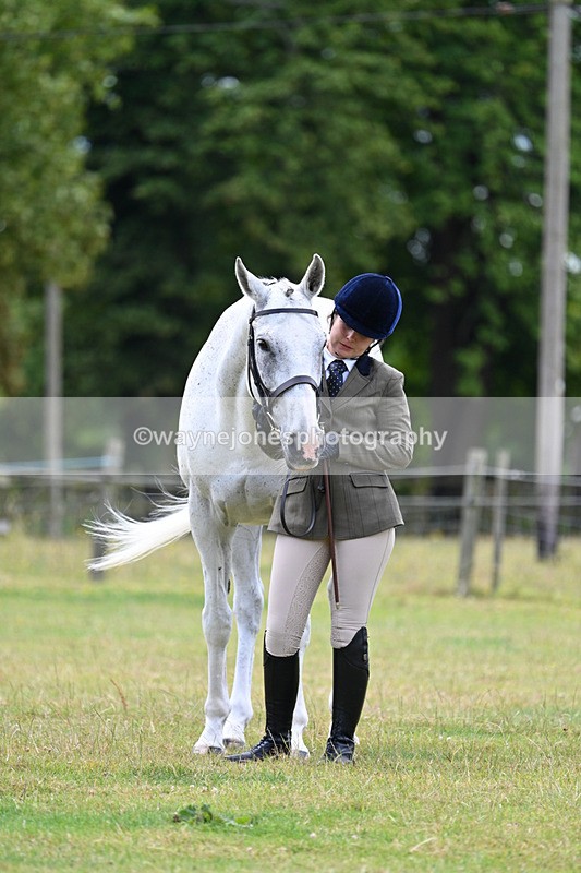 WJ7_7108 - Class 5a Most Handsome Gelding in Hand