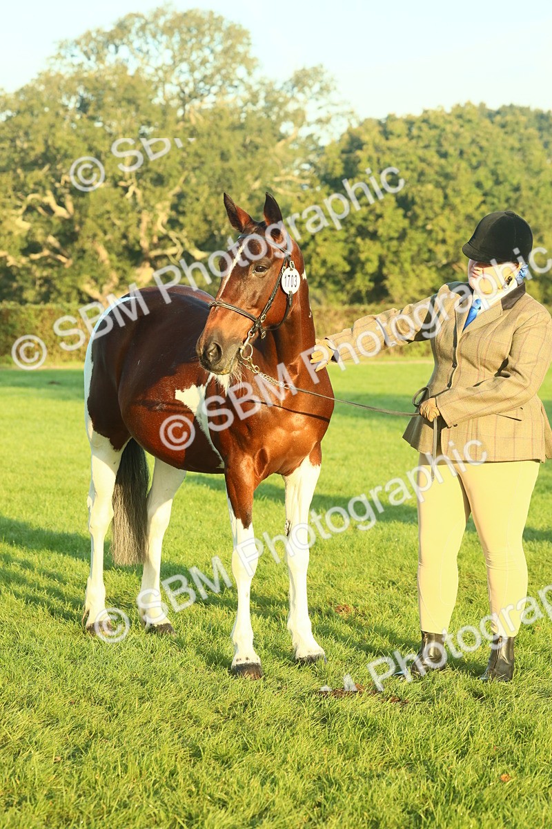 SBM_56532 - S36 - Starters Best Turnout