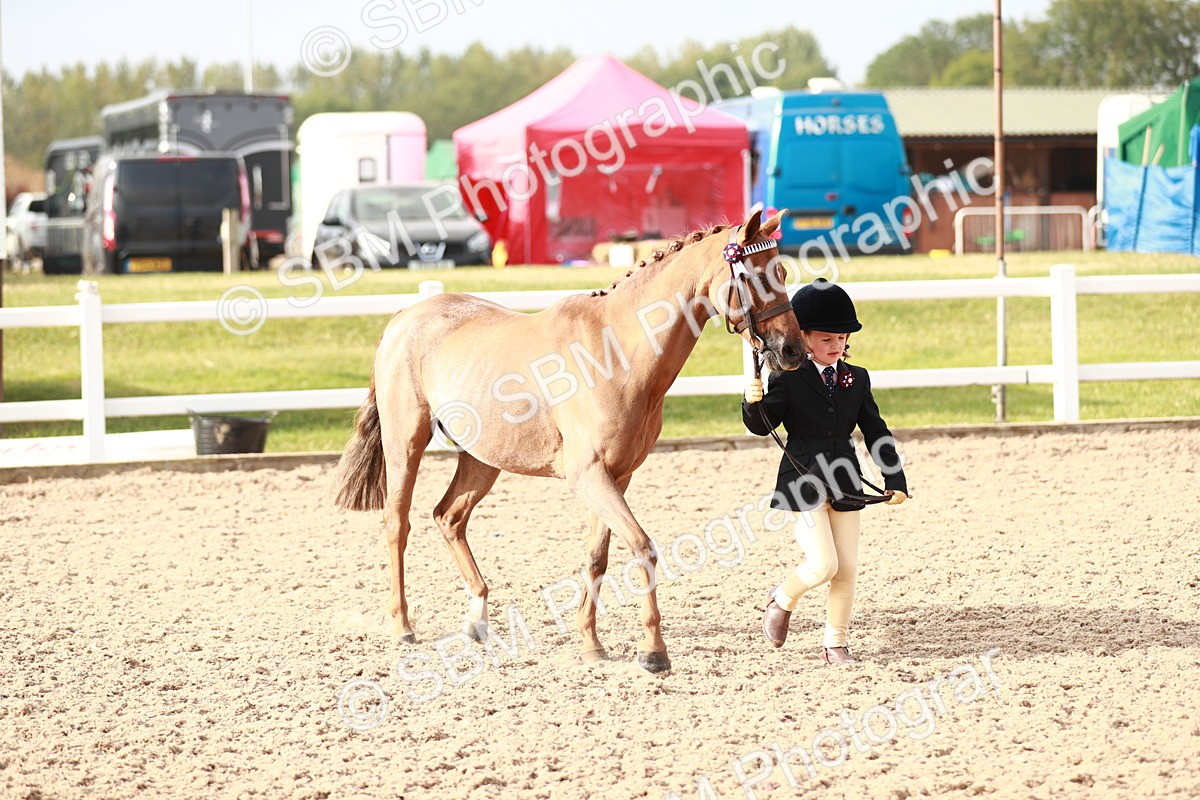 SBM_09868 - Class 203 Young Handler, 10 years and under