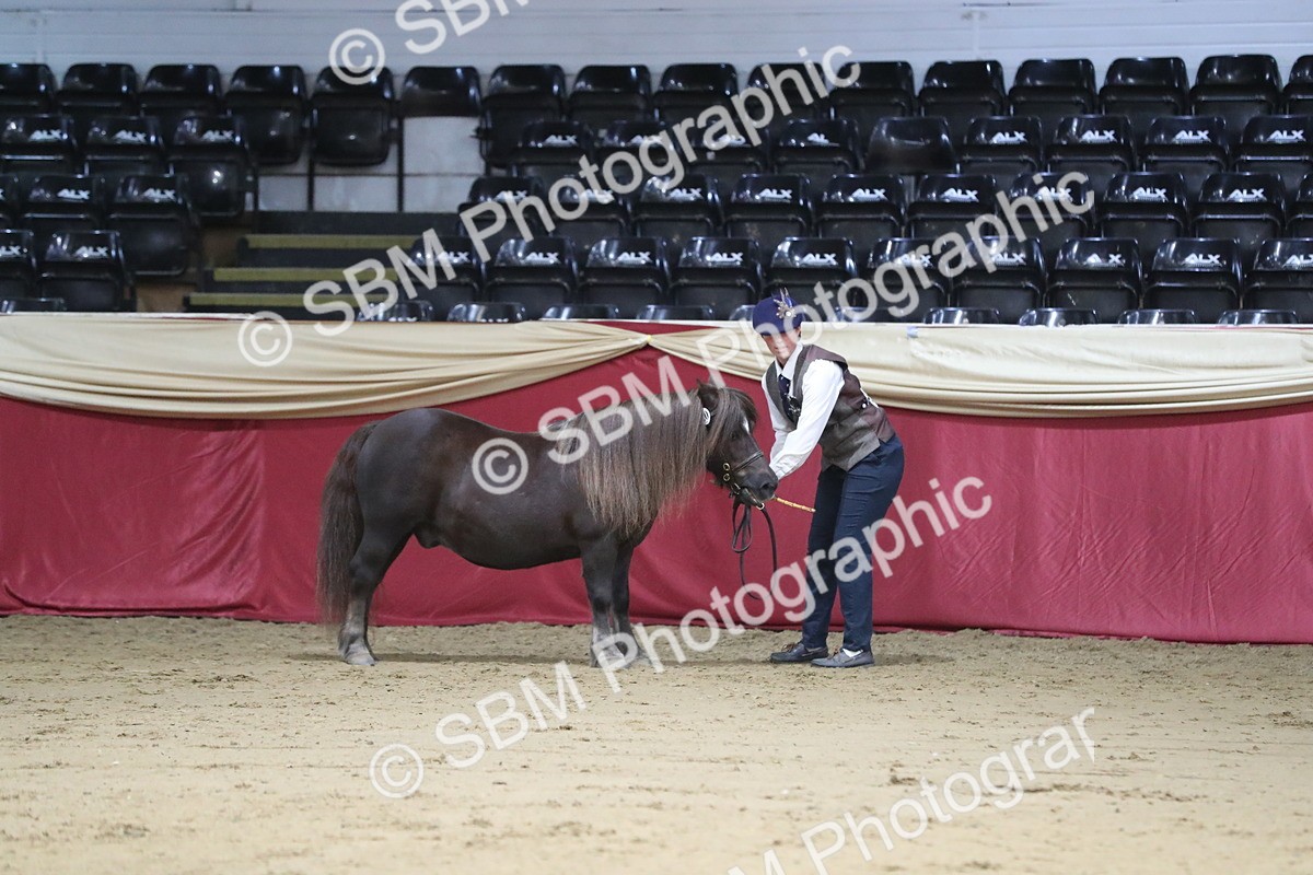 SBM_05009 - Class 8R- Regional -IH Veteran