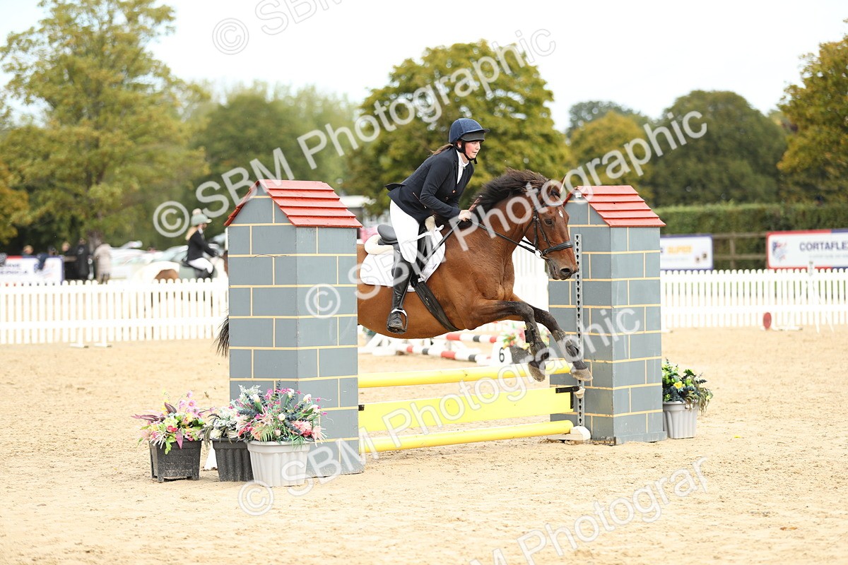 SBM_40451 - J21 - Junior Horse 60cm Championship
