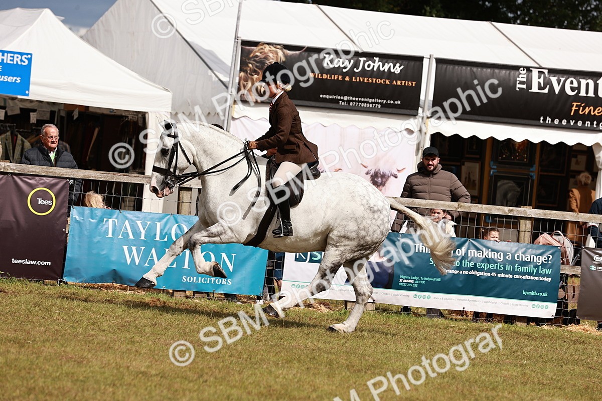 SBM_13125 - Class 85-87 - RIHS Cobs