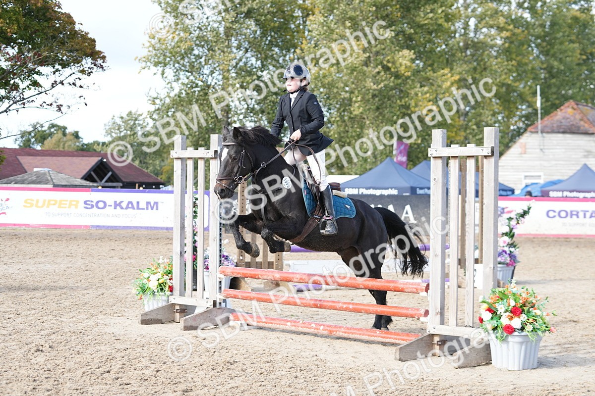 SBM_48446 - J7 - Junior Pony 60cm Championship
