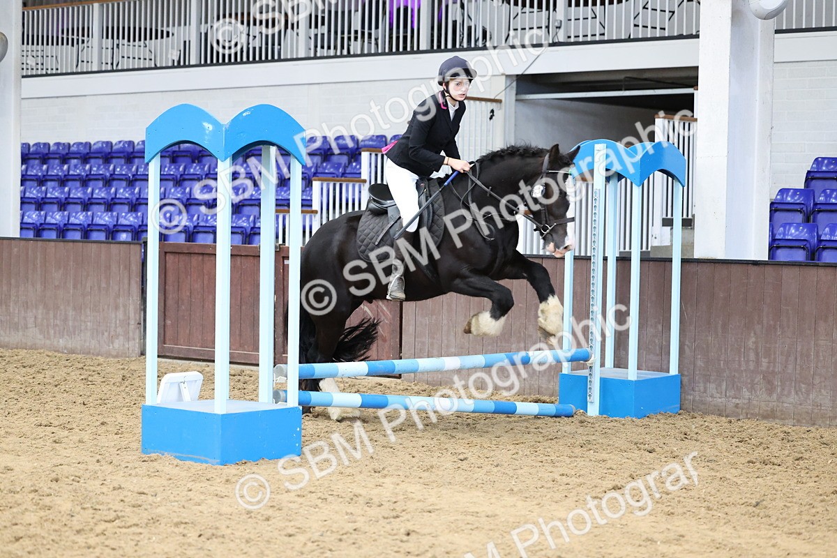 SBM_007306 - Class 2 - 50cm showjumping