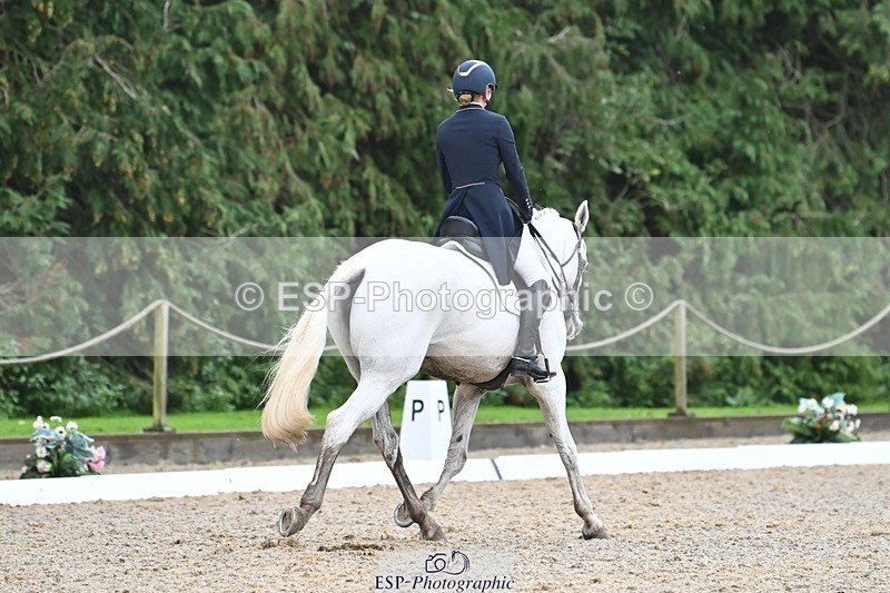 231019-122831-03112 - 114-LATINA'S.TWINKELING-Pippa.Haslam-DR