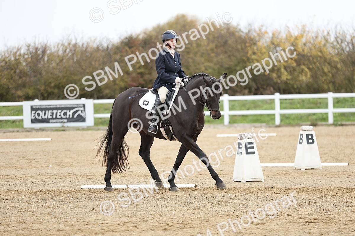 SBM_003950 - Class 9-12 - Novice 2 Elementary 3