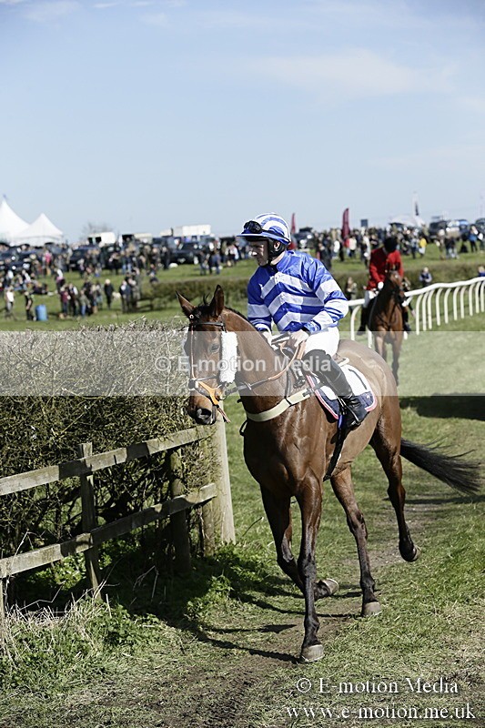 PtP 250317 87 - V.W.H. Hunt Point-to-Point Siddington 25/03/17