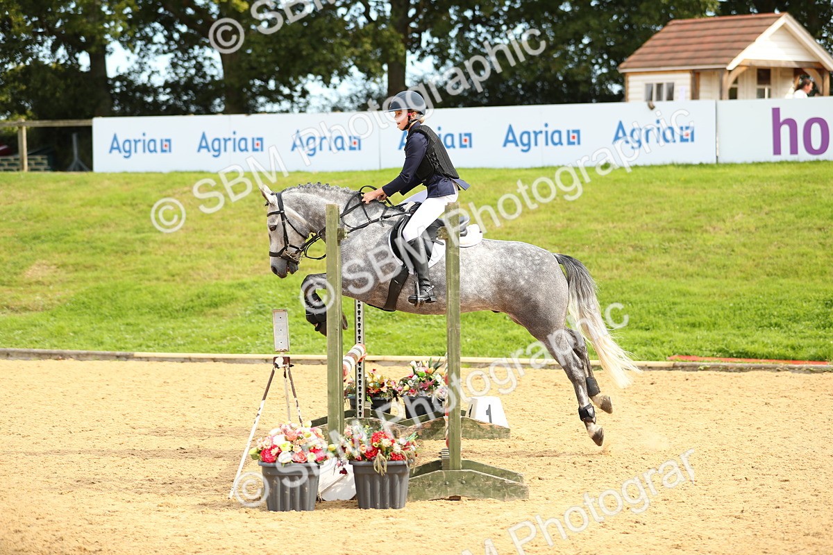 SBM_67205 - J17 - Junior Pony 80cm Championship