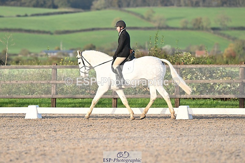 231105-153920-03094 - Cls 4 Novice 24 15.24 to 16.35 break