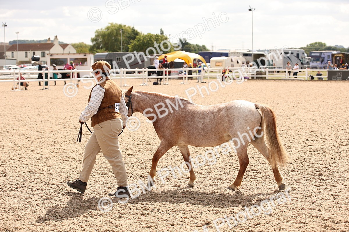 SBM_04648 - Class 20 IH Veteran