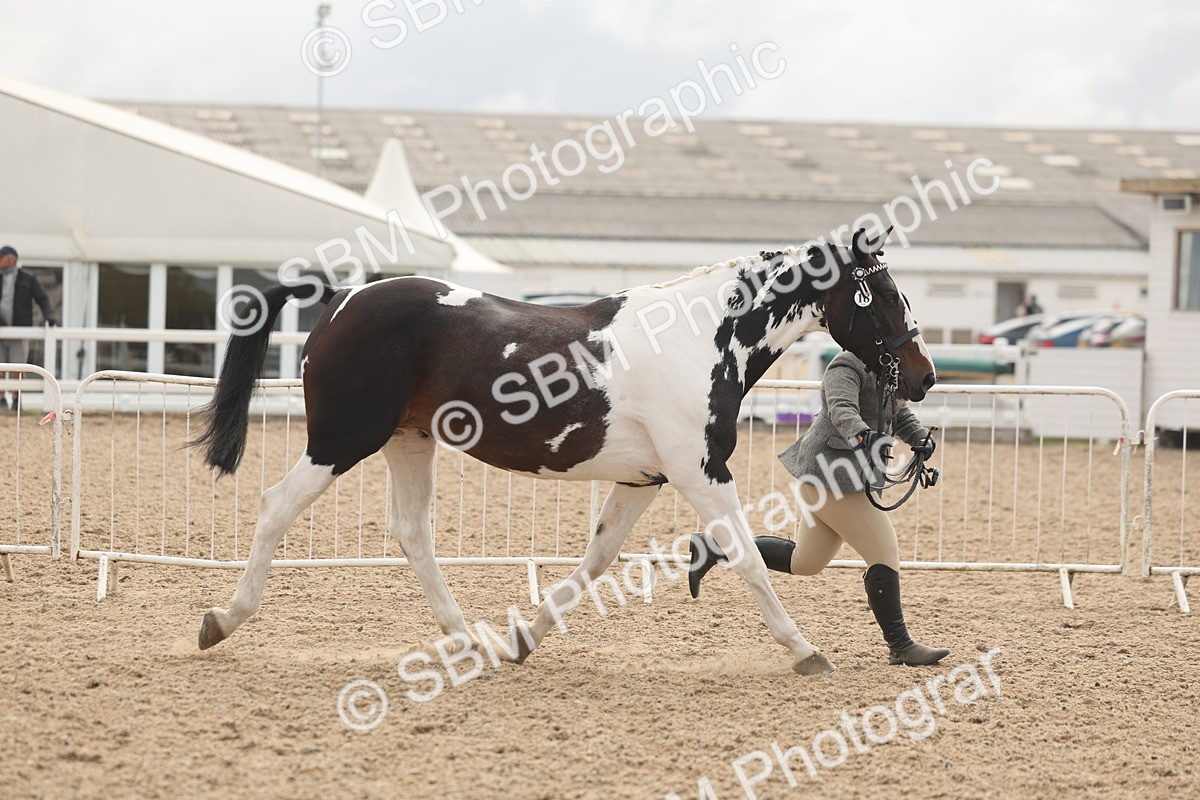 SBM_02060 - Class 15 - IH Coloured