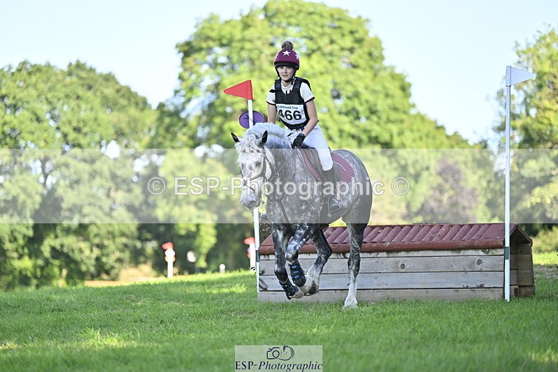 240811A-171412-06796 - 466-