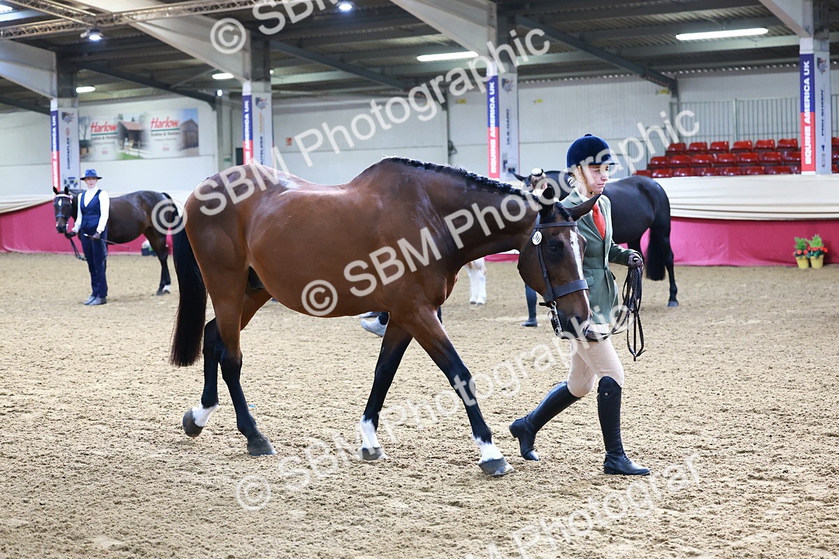 SBM_21703 - Class 901 - Supreme Final - IH  Diamond