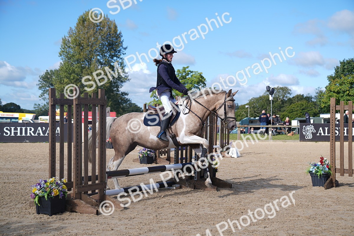 SBM_02391 - J54 Clear Round 45cm