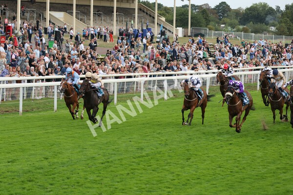 yr04092022r7-20 - Race 7 5.15pm Firmament Stakes