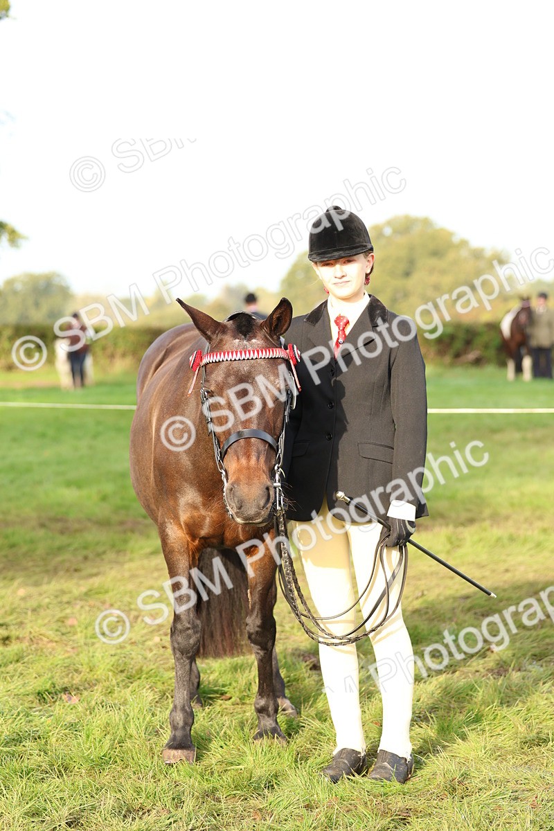 SBM_54853 - S39 - Starters In Hand Showing