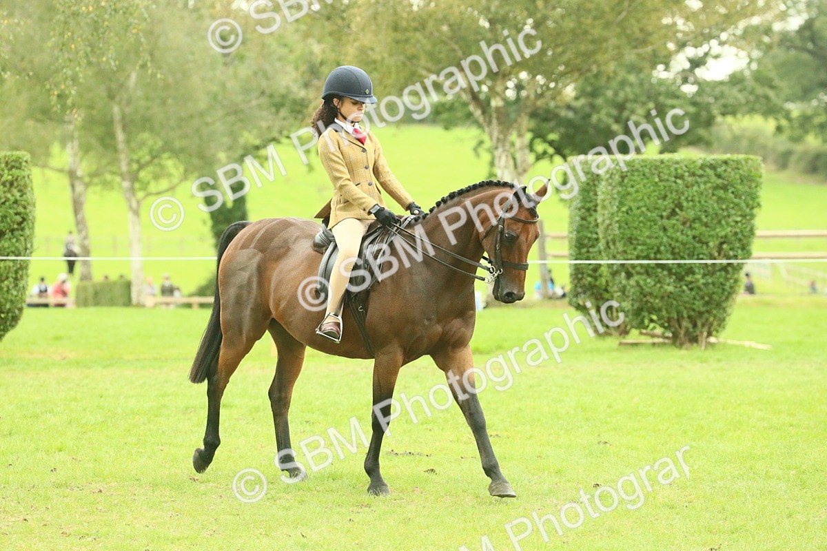 SBM_73913 - S 61 - Show Pony & Show Hunter Pony Ridden