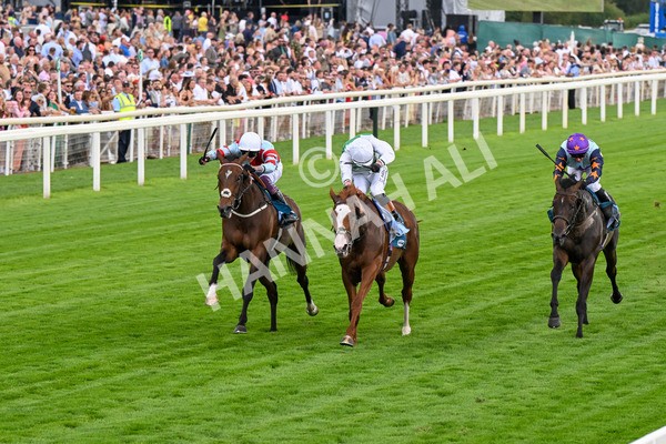 260725-Race 5-Beylerbeyi-0710 - Race 5 3.50pm Sky Bet, For The Fans Handicap