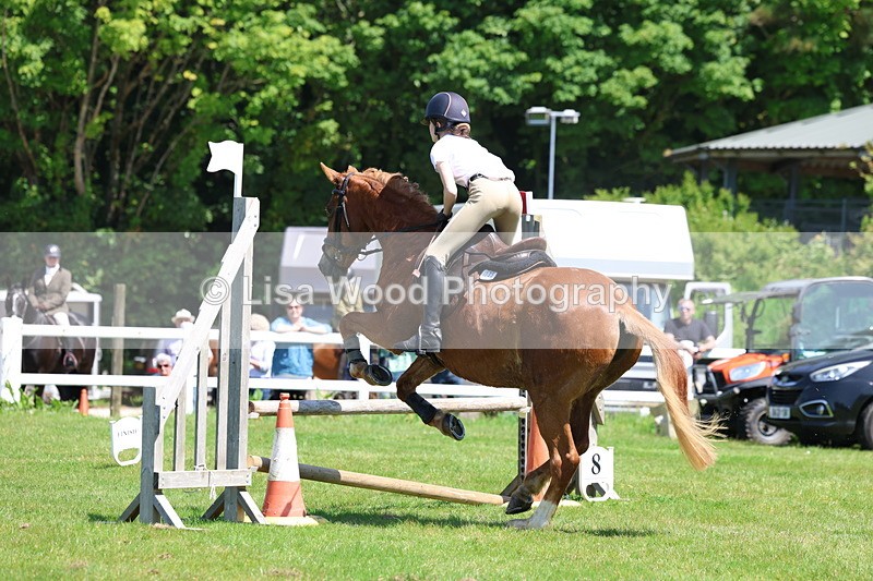 3E7A7124 - Class 30: Novice Working Hunter