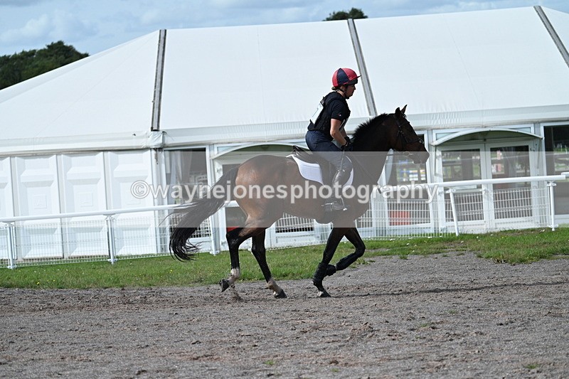 WJ7_2392 - Time 13:55 to 14:05