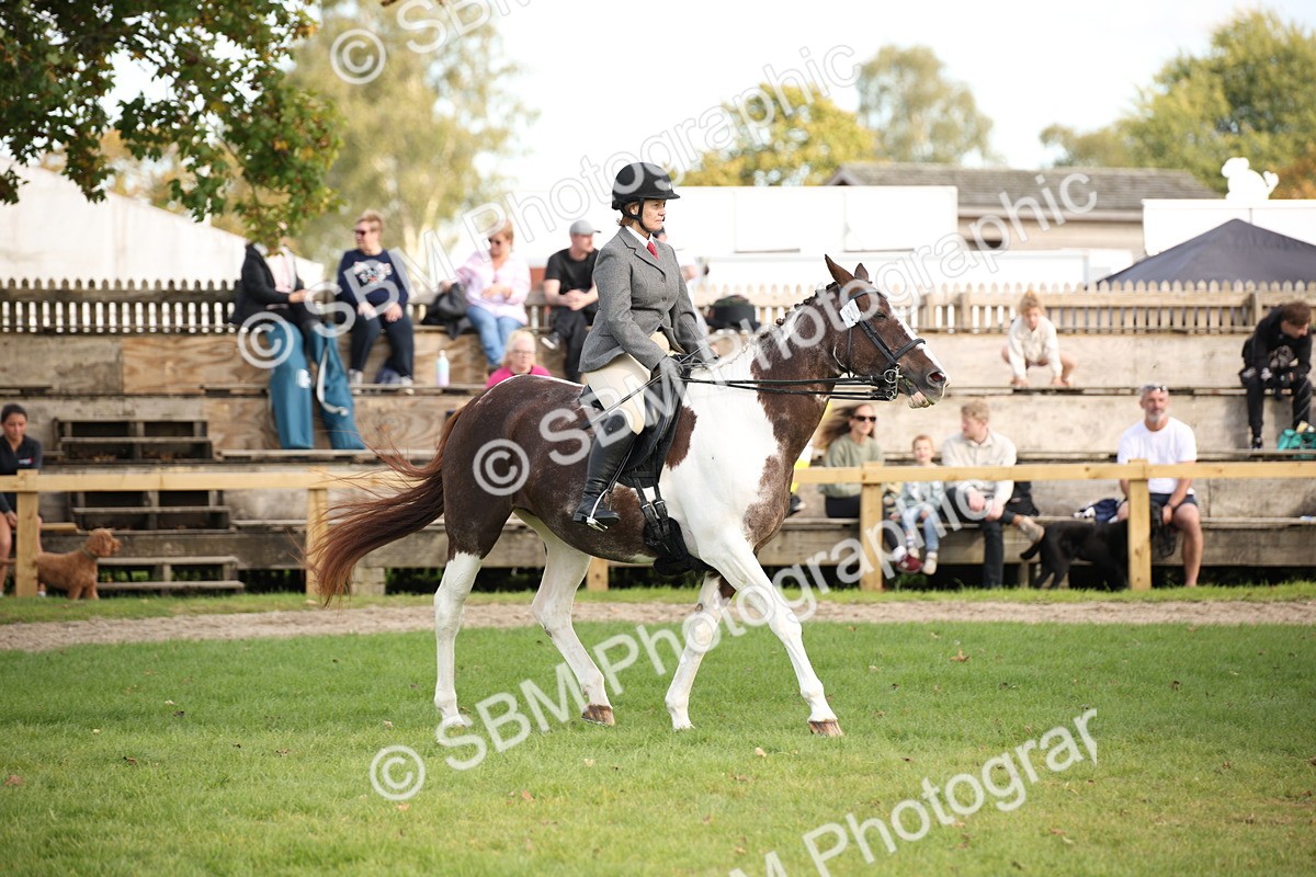 SBM_50190 - S26 - Young Veteran - Ridden